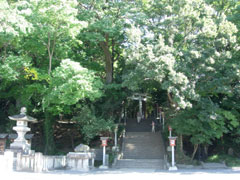 社殿へと下りる石段