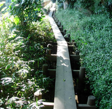 散策路右側のハケ(崖)下から清水が湧く