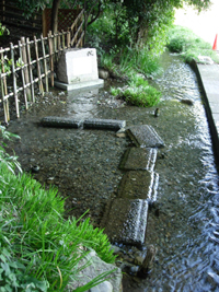 ママ下に通じる湧水の池