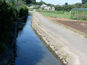 タチオンWalking(ウォーキング)-谷保天満宮・城山・ママ下湧水公園(国立市)